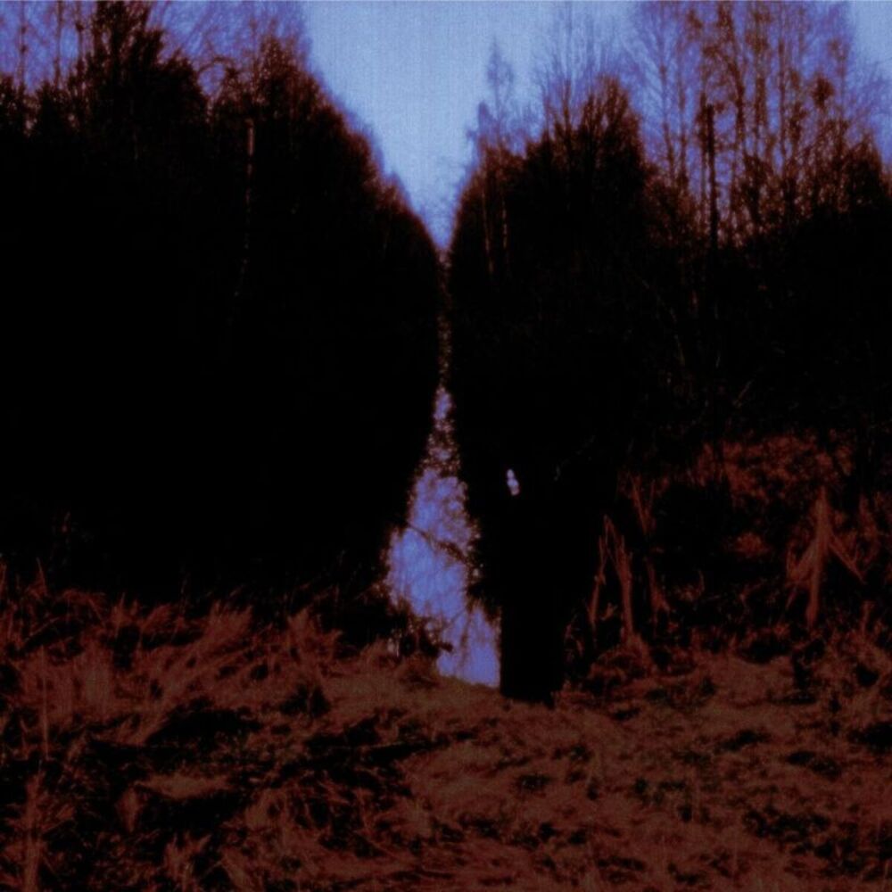 Opeth - My Arms Your Hearse  CD
